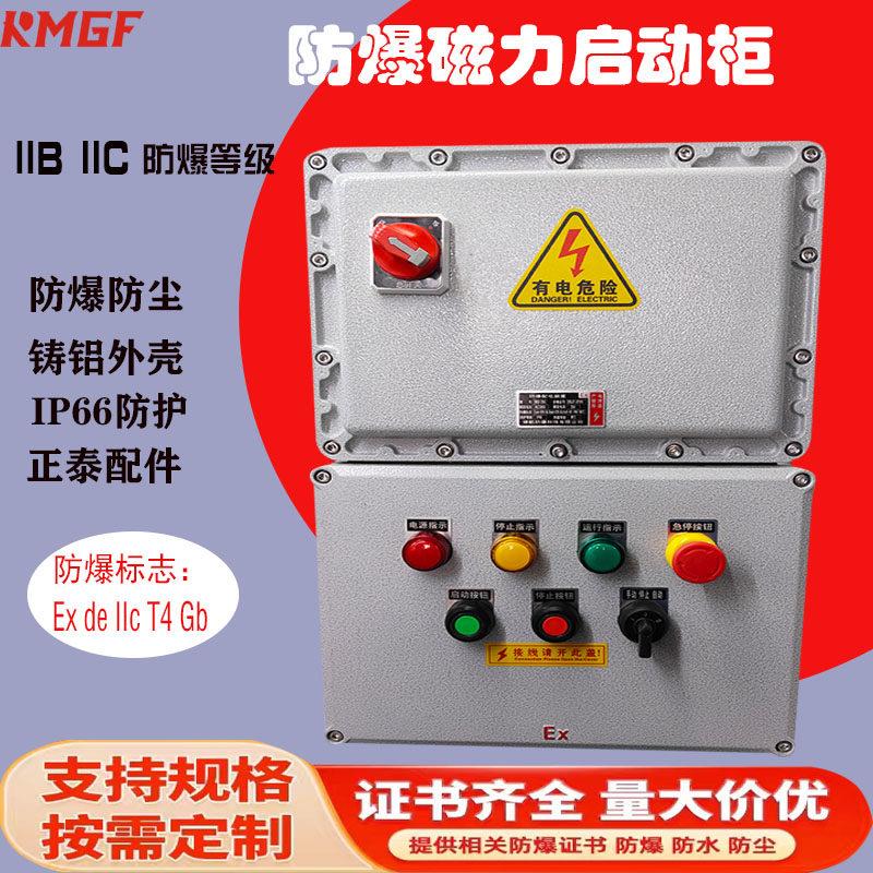 防爆配电箱带总开关风机水泵220V380V缺相保护电机磁力启动器开关