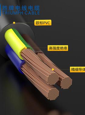 胜牌VDE护套软线H03VV-F/RVV2*0.75MM黑色圆线现货直供