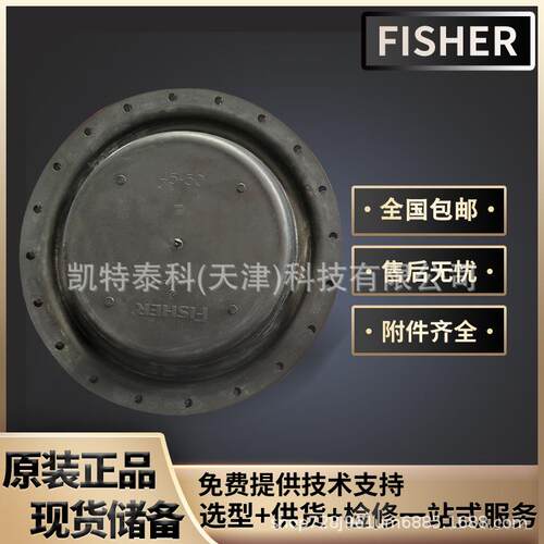 费希尔Fisher667执行机构膜片667-30 Size 30 2E800002202