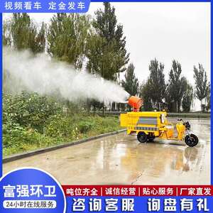 电动高压清洗车厂家直发 园林除尘绿化消毒洒水车 电动高压清洗车