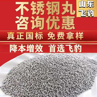 不锈钢丸钢砂钢丝切丸抛丸机合金强化铸喷丸304不锈钢沙201抛光丸