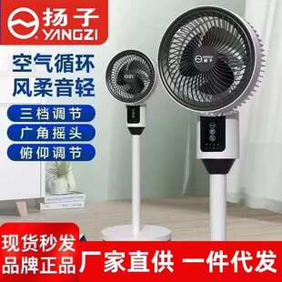 遥控静音电风扇两用落地摇头风扇一件代发 杨子空气循环扇家用立式