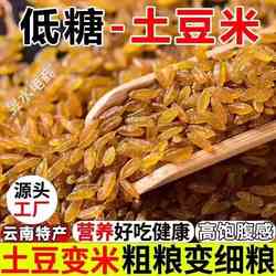 云南昭通土豆米高海拔大米中科院同款土豆大米高饱腹感主食代餐