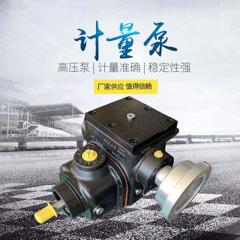 厂家供应聚氨酯计量泵发泡高压计量泵电动铸铁液压泵计量泵