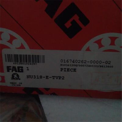 307 308 NU318-E-TVP2德国轴承NJ NU 317 316 315 314 313 312 M1