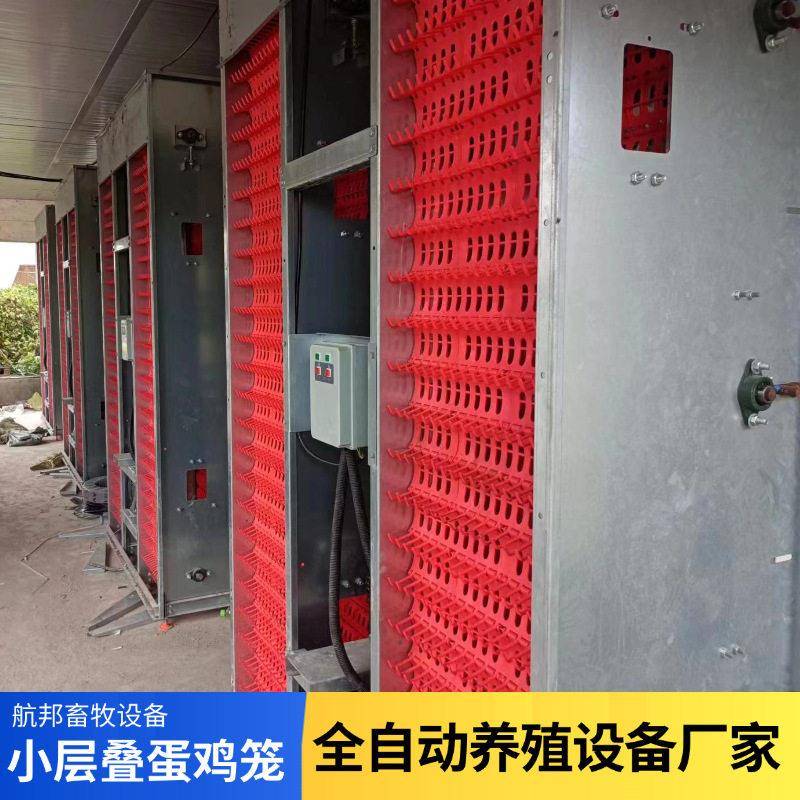定制小层叠蛋鸡笼热镀锌框架蛋鸡笼自动化养殖设备捡蛋鸡清粪机