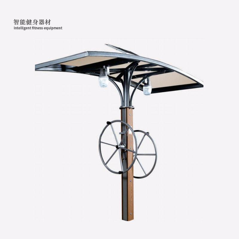 户外二智能健身器材公园双人大转轮新农村组合健身路径训练器械