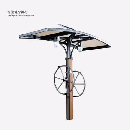 户外二智能健身器材公园双人大转轮新农村组合健身路径训练器械