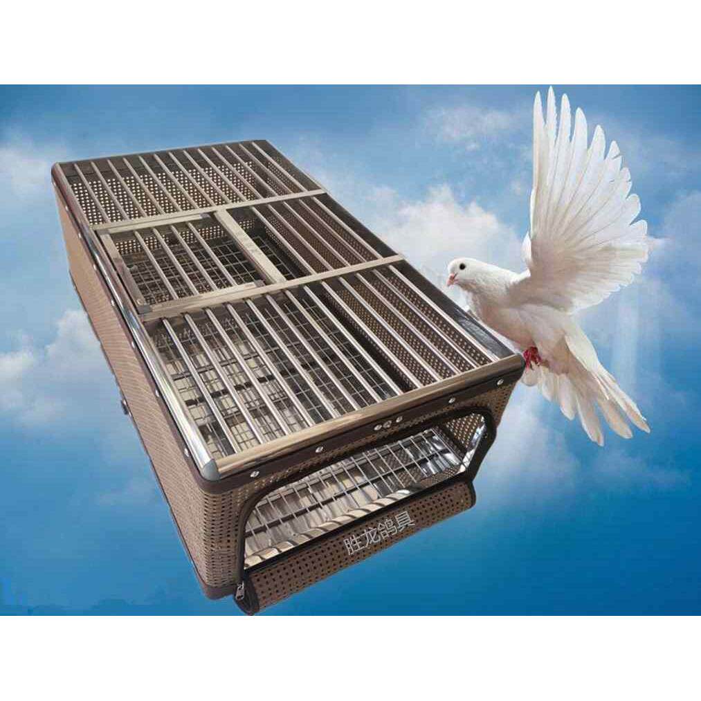 胜龙鸽具鸽子笼训放笼信鸽用品用具赛鸽不锈钢藤笼折叠放飞笼包邮