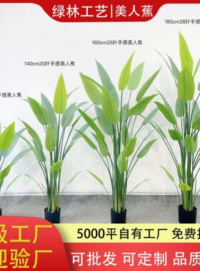 仿真美人蕉盆景手感天堂鸟植物盆栽室内假花摆件客厅落地饰品现货