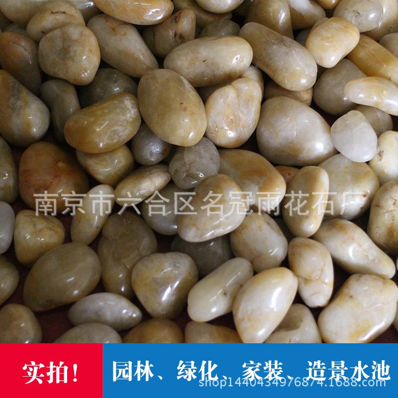南京雨花石黄色鹅卵石水洗石铺路园林景观透水路面防滑水池造景