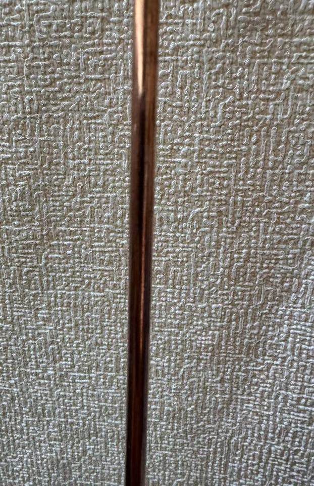 1月3日苏州一批T2实芯紫铜铜棒100根（包邮寄）网络拍卖公告