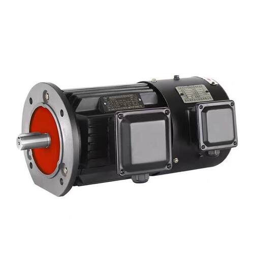 中国顶格电机三相异步电机全铜芯冷轧立卧安装YVF-0.75W-4P