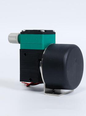 液体隔膜泵DS600DCB-A微型液体隔膜泵废液采样真空泵12V/24V