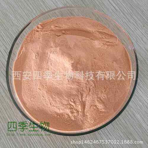 香橙粉 四季 喷雾干燥 速溶 酸甜果粉 另有香橙冻干粉