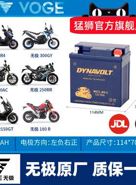 隆鑫无极电池300R 250RR AC GY 500R 650DS 525R 150GT机车电瓶
