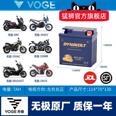 隆鑫无极电池300R 250RR AC GY 500R 650DS 525R 150GT机车电瓶