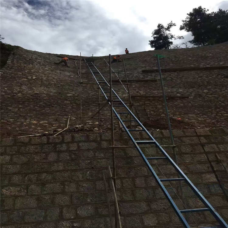 建筑提升机 工程用机械爬山虎上料机 高速公路护坡用