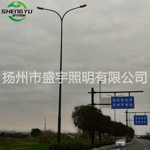 10米led双臂路灯户外杆道路灯具双挑灯市电市政路灯一体杆灯头