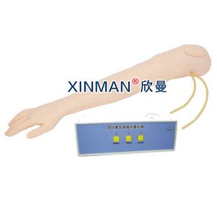 成人动脉穿刺操作模型