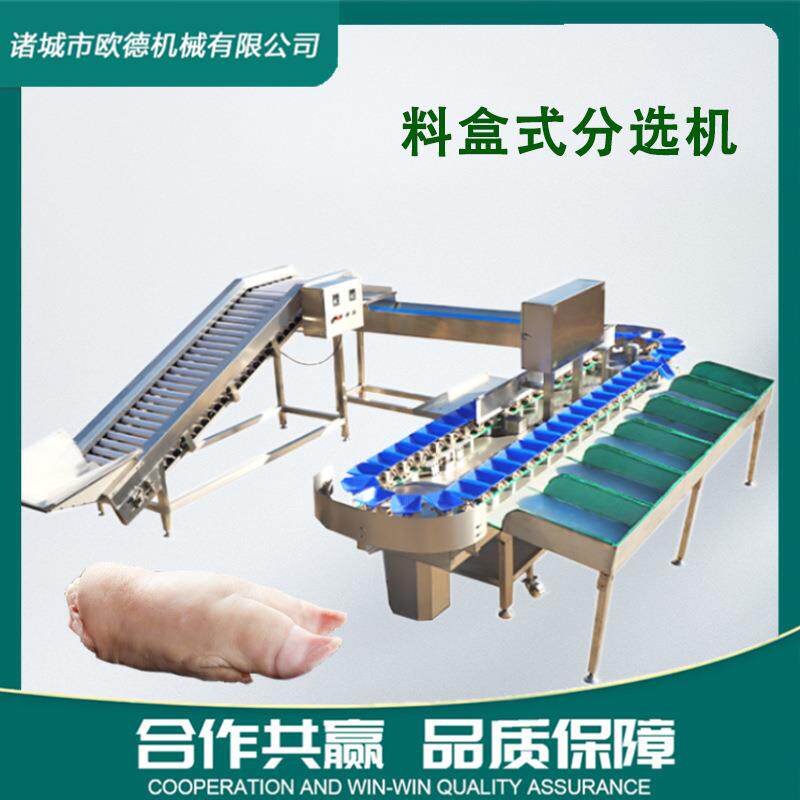 全自动料盒猪蹄鸡爪分选机牡蛎分级机 生蚝分拣机高速分选