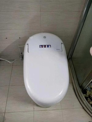 摩普家用全自动翻盖智能冲水坐便器怎么样？三点忠告必须注重