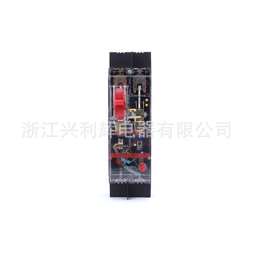 厂家供应 塑壳断路器 XH(DZ)15LE-100/2901空气开关 薄利多销