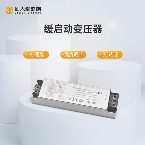 仙人掌照明缓启动变压器线条LED灯带电源配接器24V100W驱动灯槽
