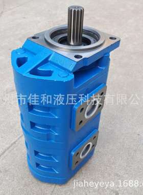 扒渣机双联齿轮泵 CBGJ3200/3125 厂家直供应铸铁液压泵