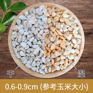 多肉铺面石植物花盆里面放的小彩色石头白石子地面养花专用