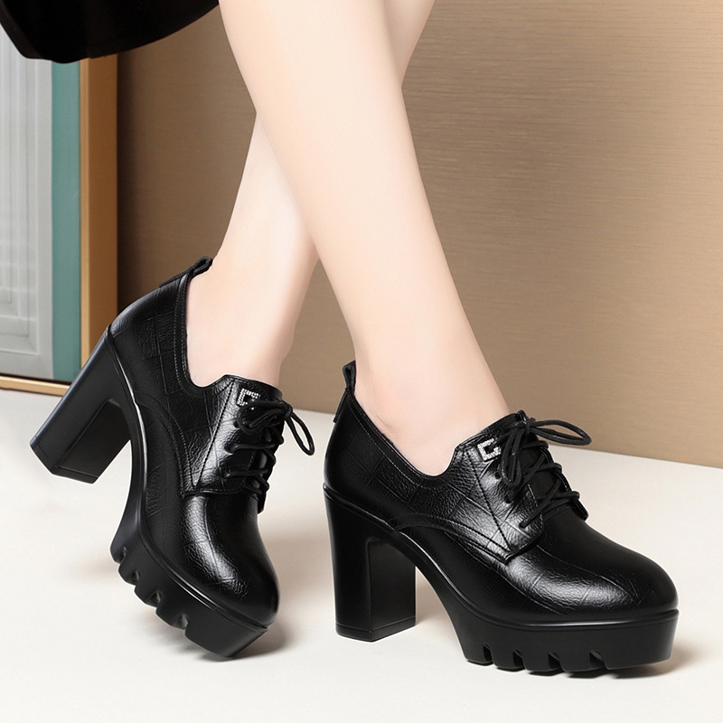 欧洲站高跟鞋女秋秋2024新款深口单鞋防水台女鞋气质粗跟走秀鞋系