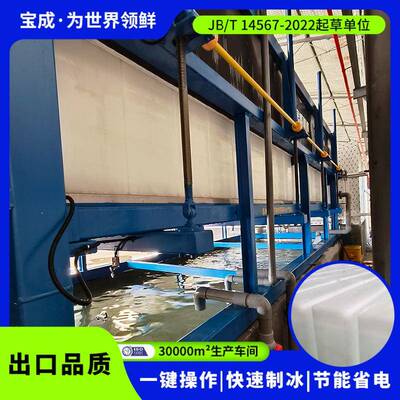 宝成大型制冰机隧道工程降温用块冰机工厂车间降温直冷式块冰机