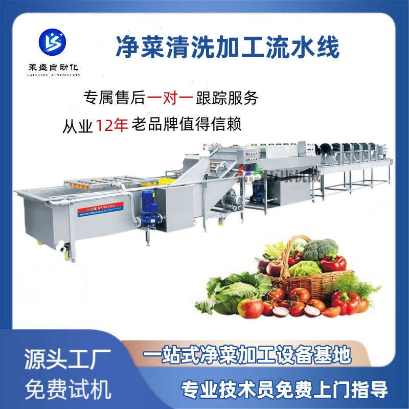 西红柿气泡清洗机 辣椒果蔬全自动清洗设备  蔬菜清洗加工流水线