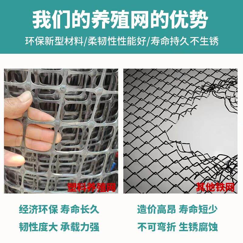 塑料养殖围栏网户外栏拦鸡鸭漏粪网果园菜园隔离圈栏塘玉米鱼围网