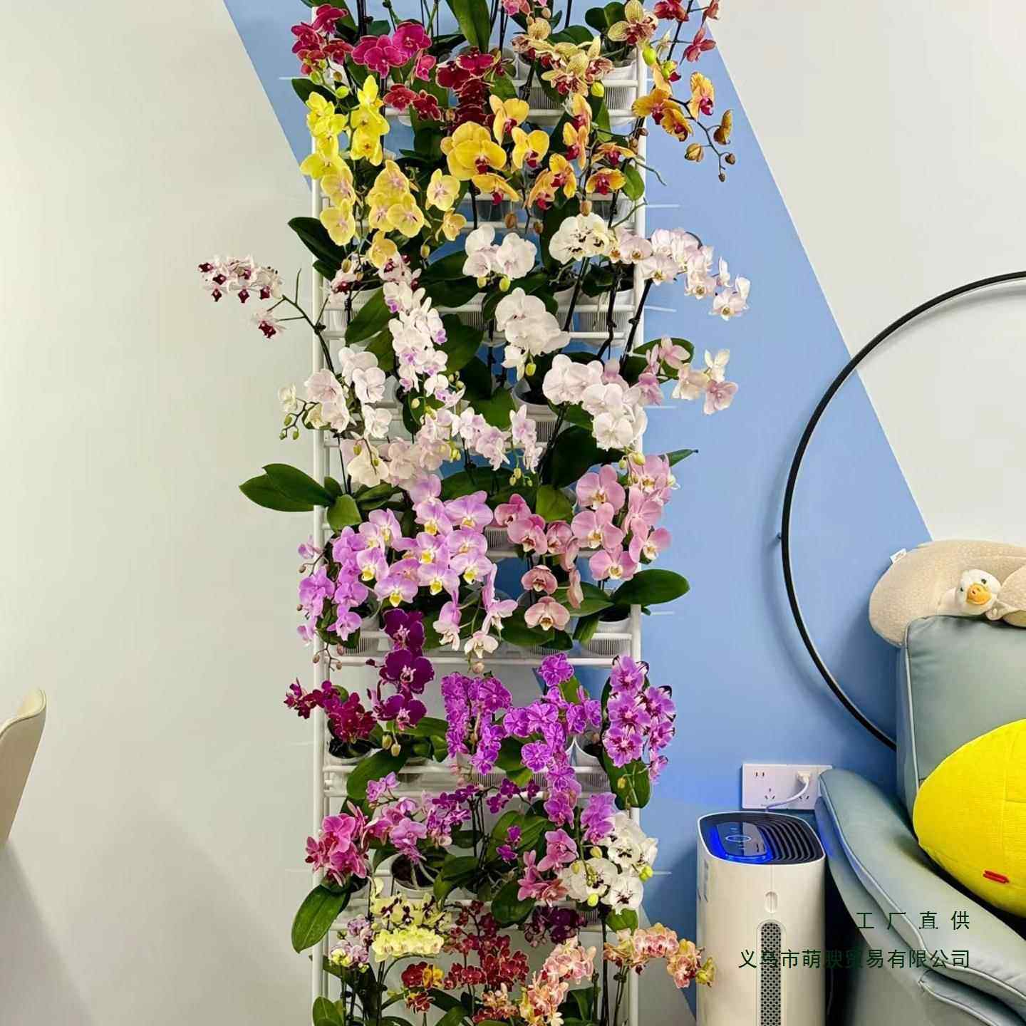 落植地式蝴蝶兰花架国兰YUY石斛兰多层移阳家用台带轮可动花店物