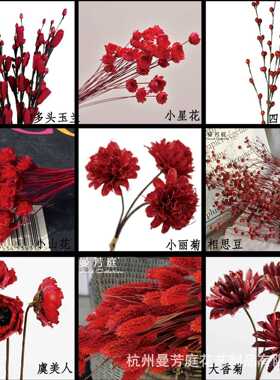 新款直销干花手工diy材料包家居婚房装饰红色系玫瑰七夕情人节礼
