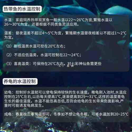 数字温度计变色温度贴水族箱温度计龟缸鱼缸温度贴温度计外贴