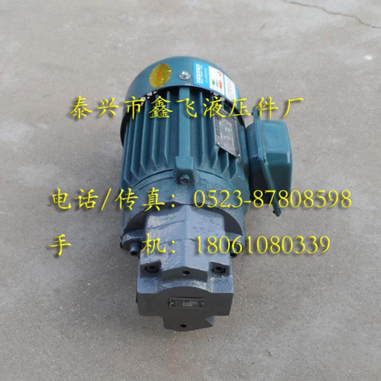 BB-B1N6JZ-1 B20 NJZB25NJZ B32NJZ内轴式摆线齿轮油泵电机组装置