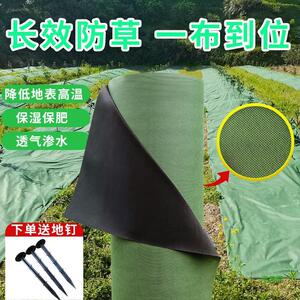 抗老化加厚遮草布除草果园防草布布厂家直销农用绿黑地膜渗水果树