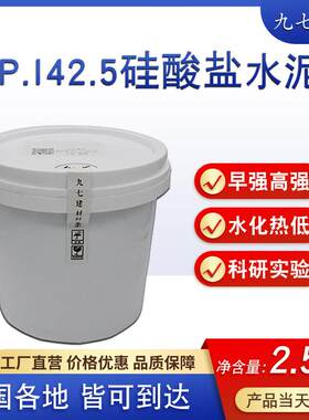硅酸盐PI425水泥混凝土砂浆实验基准超高性能自流平蓬胀快干早强