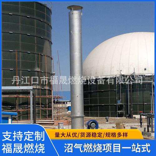 供应100-250立方沼气燃烧器沼气火炬沼气燃烧设备废气燃烧器