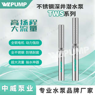 TWS4.05 4中威泵業(yè)WLPUMP不銹鋼高揚程全自動深井潛水電泵