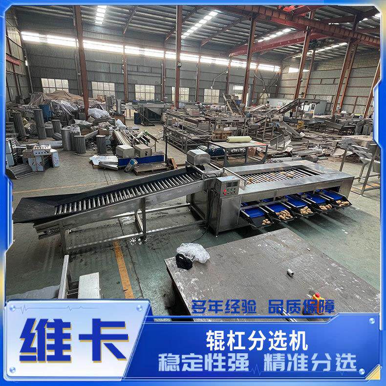 滚杠式砂糖橘分级机 地瓜直径分级机 不锈钢材质全自动沃柑分拣机