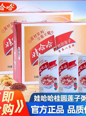 娃哈哈八宝粥360g×12罐整箱桂圆莲子味营养早餐速食粥送礼盒装