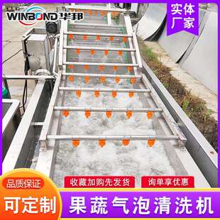央QFB厨 房净菜加中工流水线果桃蔬气泡清洗机 樱桃子清洗设备厂