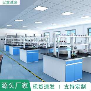 实验室钢木实验台通风柜理化板边台全钢试验台工作台铁柜
