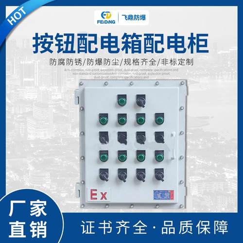 非标加工防爆按钮箱防爆防腐控制箱按钮配电箱配电柜