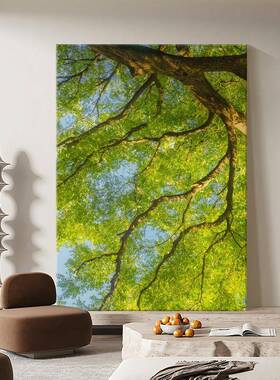 治愈系森林客厅装饰画植物沙发背景墙手绘油画小众卧室挂画玄关画
