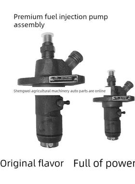 单缸柴油机高压油泵总成 常发8马力10匹R175A EM190柱塞喷油泵