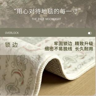 地家音用卧室免2打理可擦 新客厅地毯205新款 跨境花卉小清 FYR